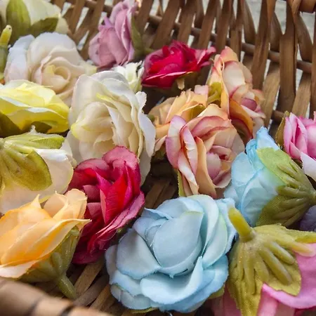 Mini-appartamenti, Lanterna Blu Konukevi