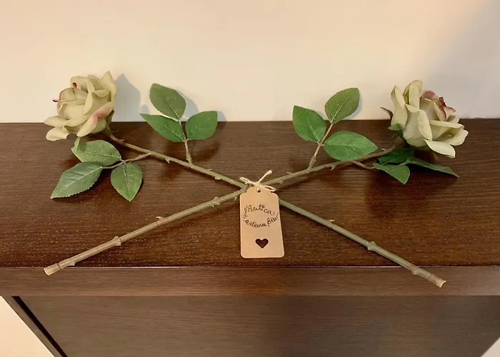 Mini-appartamenti, Lanterna Blu Гостевой дом 3*